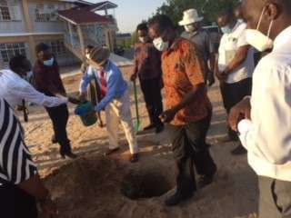 TREE PLANTING TREE PLANTING