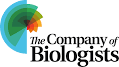 Logo, company name

Description automatically generated