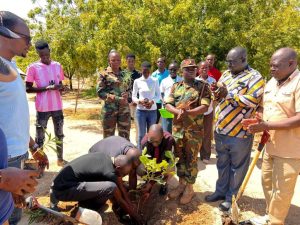Turkana University College Tree Planting Exercise in Partnership with KEFRI and KFS